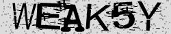Retype the CAPTCHA code from the image